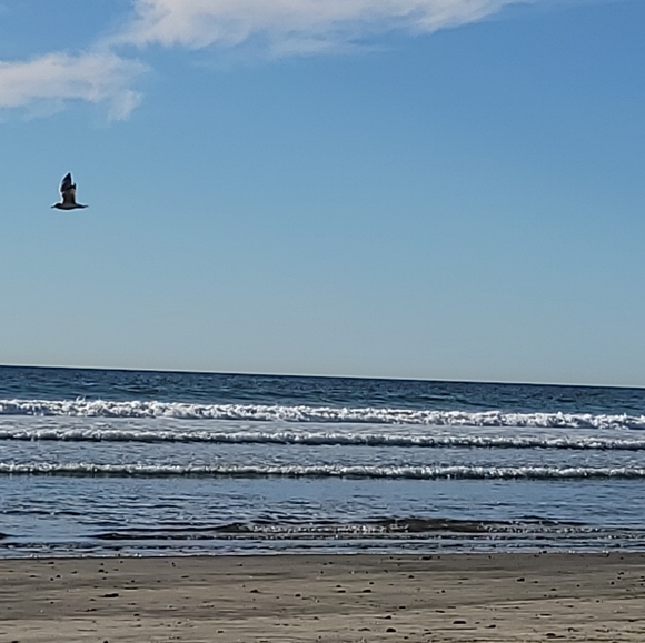 Meet your Posher, Michelle - Picture 2 of 2